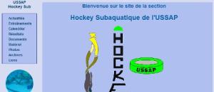 Le hockey sub Pessacais est vice champion de France